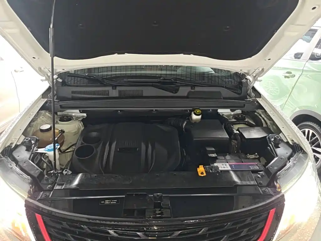 صورة 20 - Geely Atlas