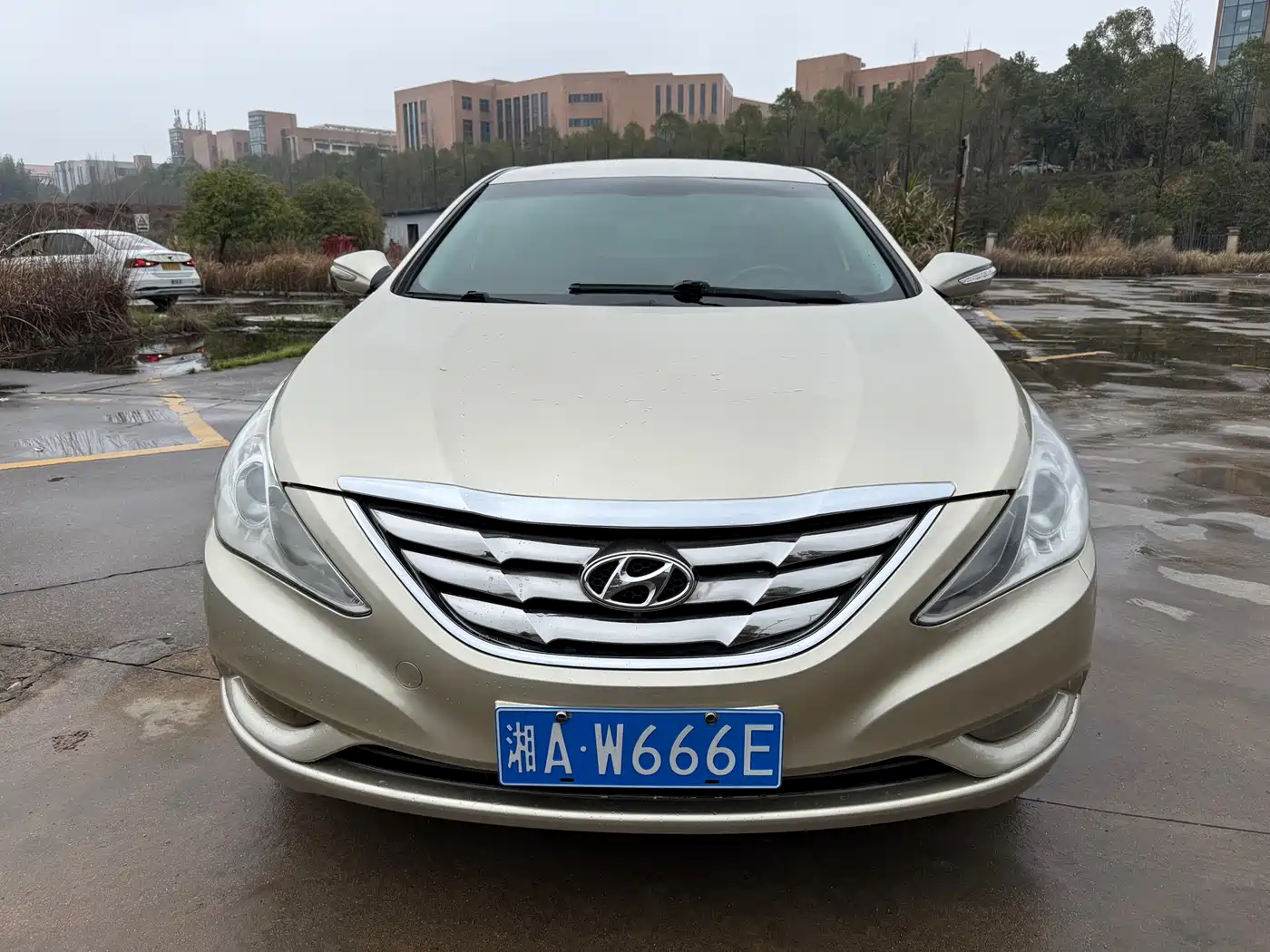 Hyundai Sonata 2011 2.0L Auto Leading Edition фото 2