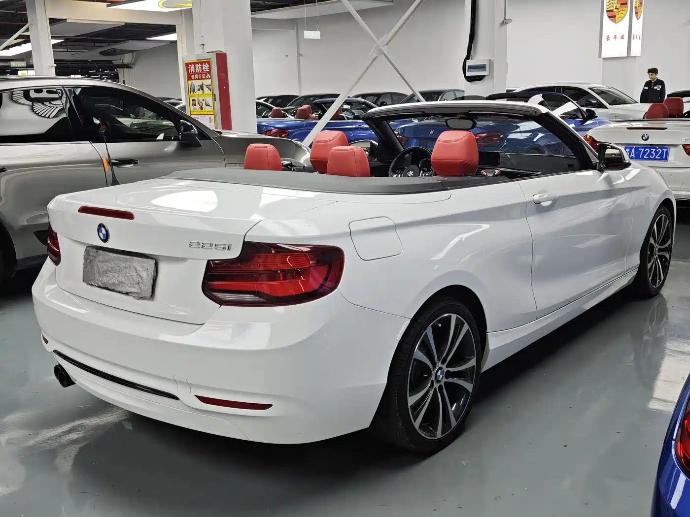 BMW 2 Series (Import) 2019 225i Convertible Coupe Sport Design Package фото 14