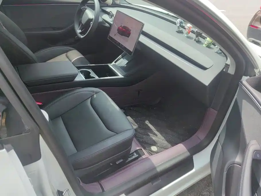 Tesla Model 3 2025 2025 Model Year Facelift Rear-Wheel Drive
