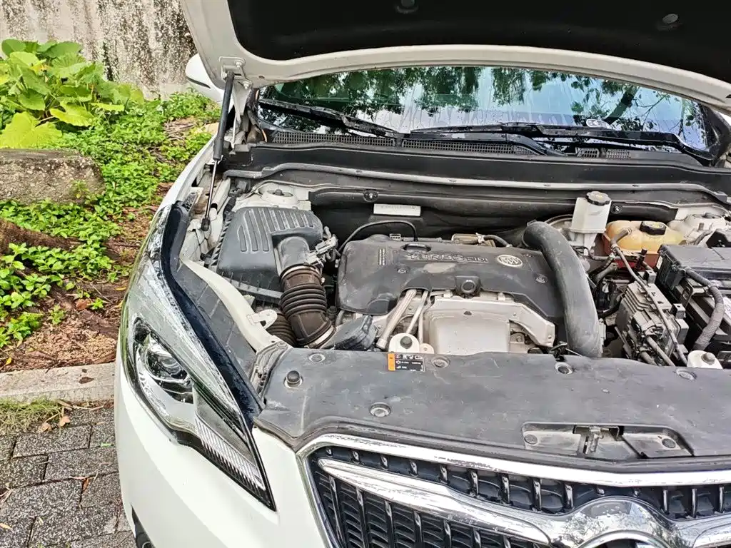 Buick Envision Plus 2018 28T 4WD Elite фото 21