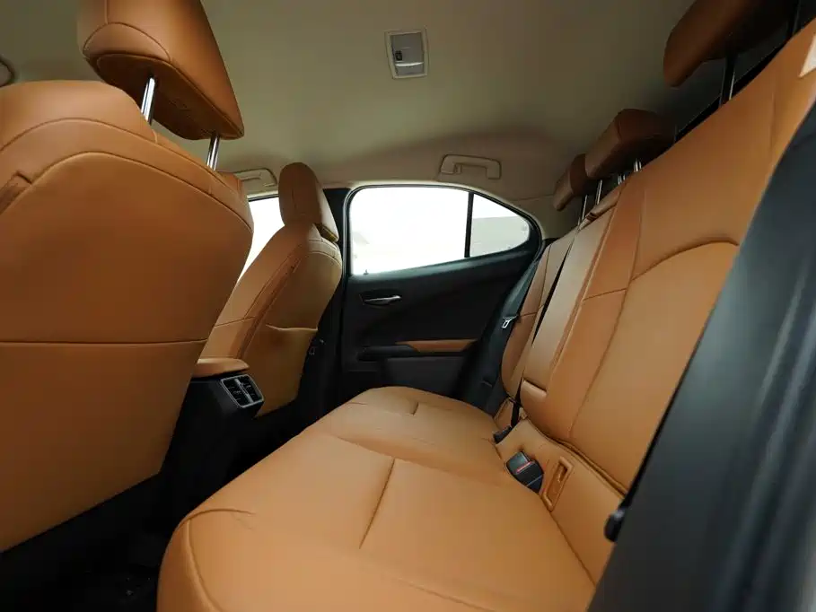 Lexus UX 2021 2020 260h Explore Cool Edition