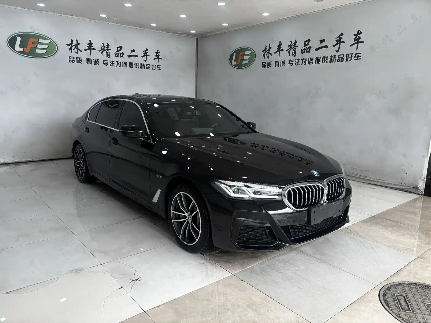 BMW 5 SERIES NEW ENERGY
