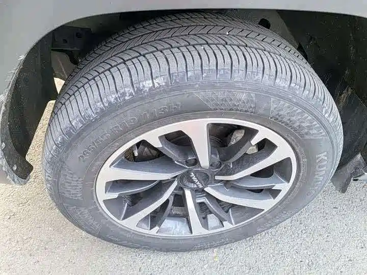 Haval H9 2025 2024 2.0T Gasoline AWD Extreme Edition