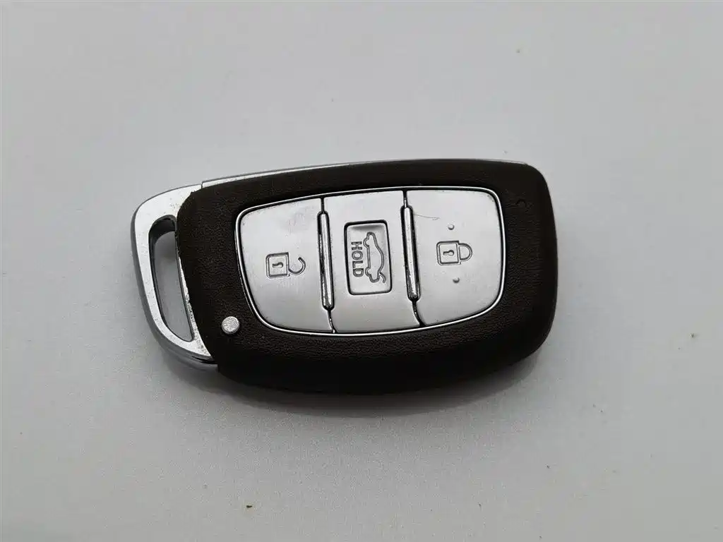 HYUNDAI NAME PICTURE