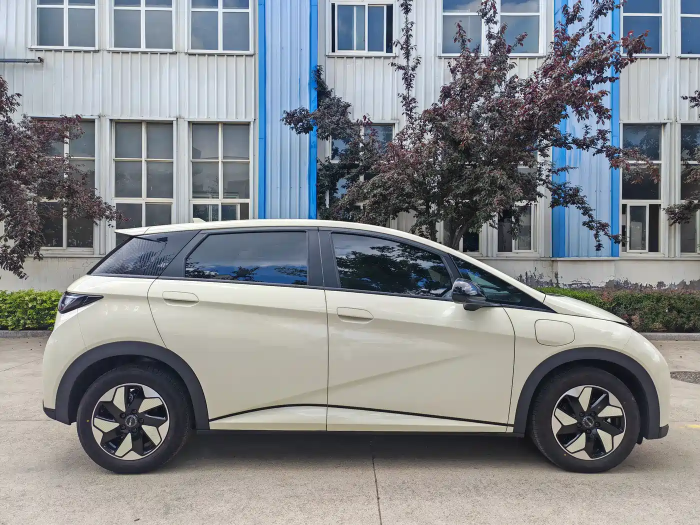 BYD Dolphin 2026 2025 420km Freedom Edition