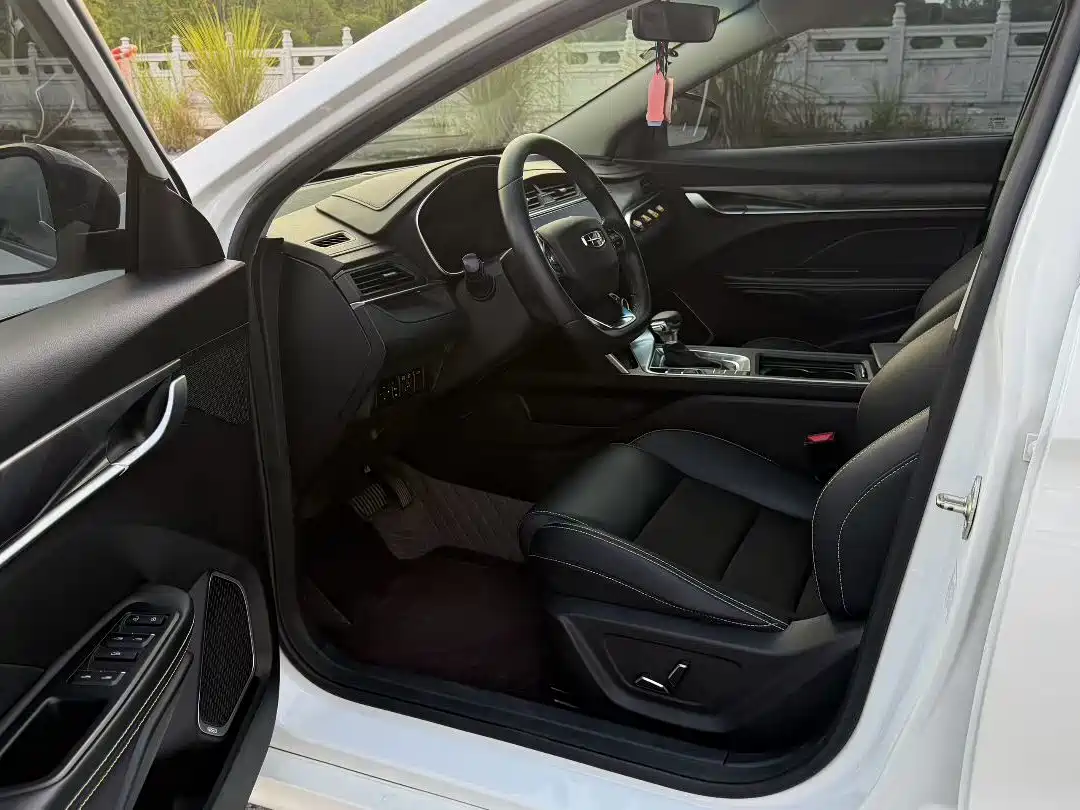 Фото 7 - Geely Binrui