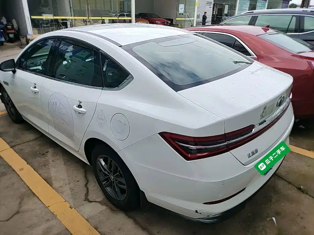 BYD Qin Pro 2021 2020 Surpass Edition 1.5TI Automatic Premium