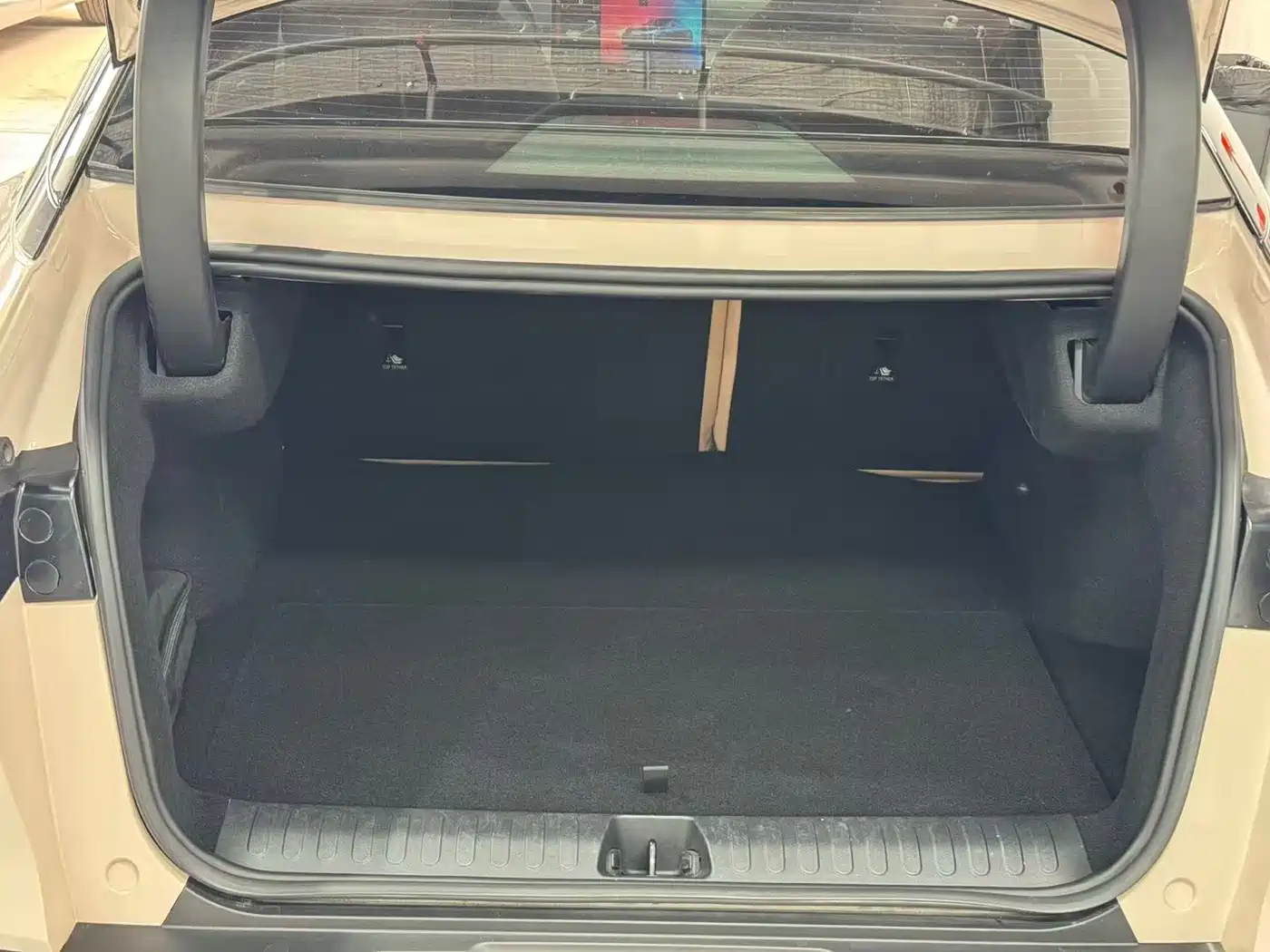 ARCFOX EXTREME FOX POLAR FOX ALPHA S5