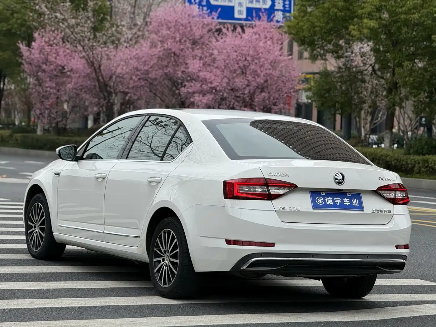 Škoda Octavia 2018 TSI230 DSG Luxury Edition фото 16