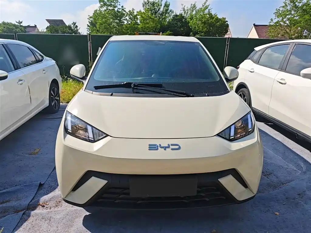 BYD Seagull 2024 Glory Edition 305km Vitality Edition фото 3