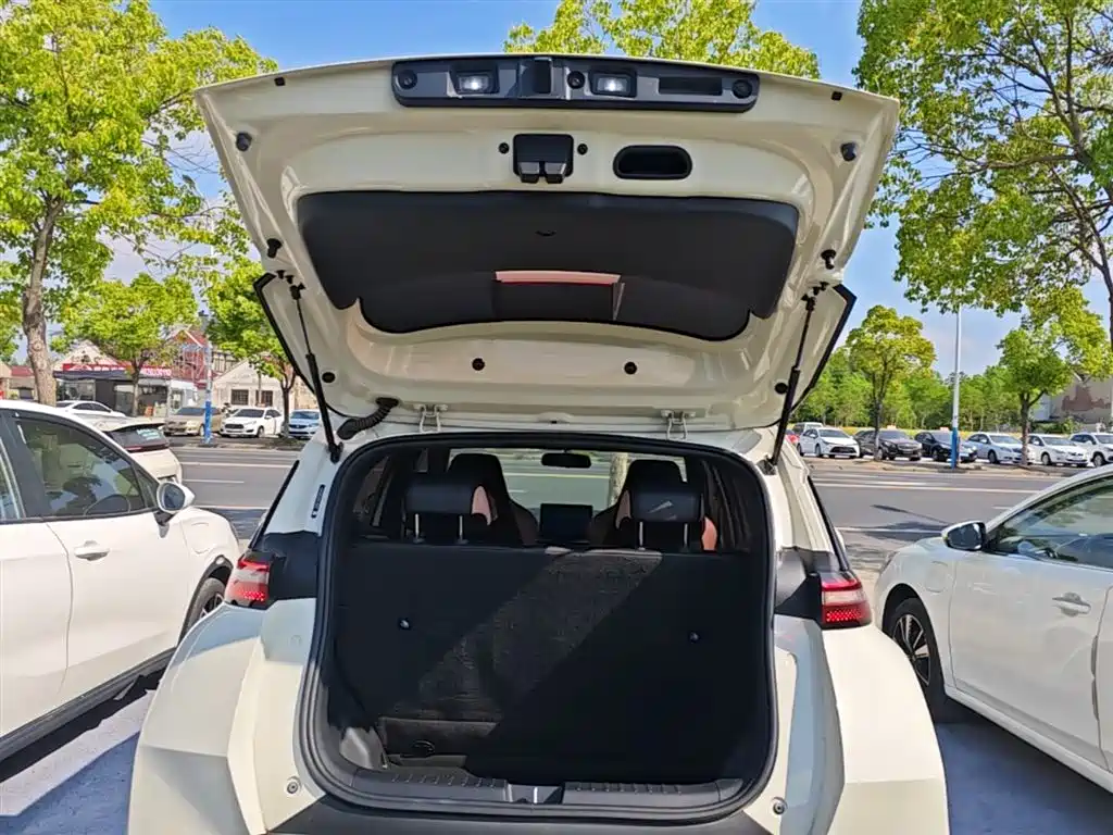 BYD Seagull 2024 Glory Edition 305km Vitality Edition фото 19