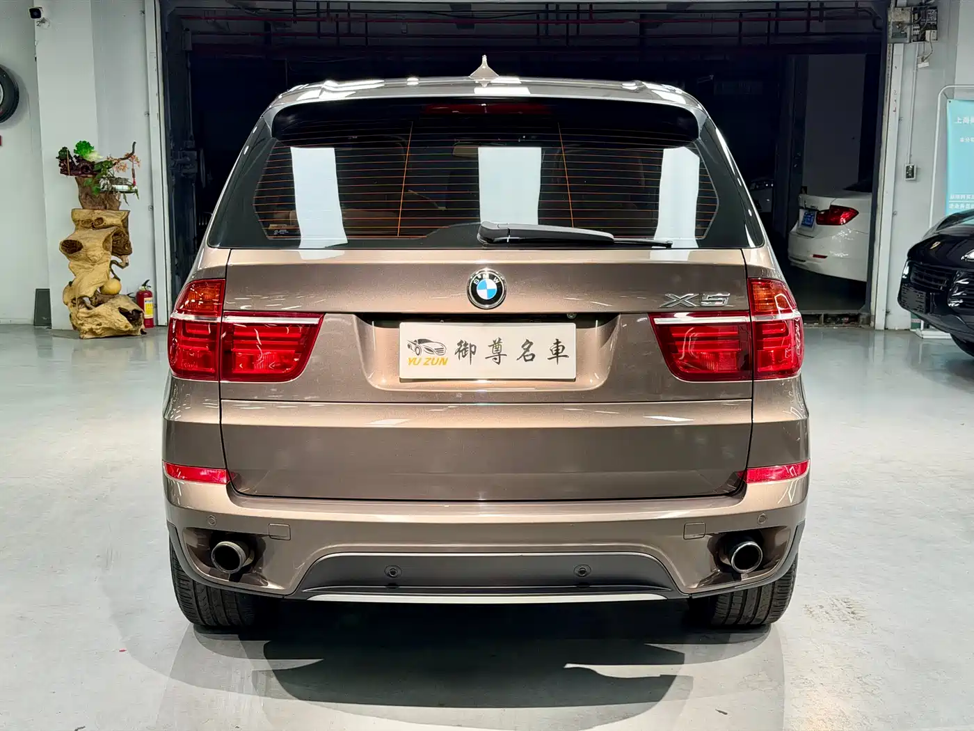 BMW X5 (Import) 2013 xDrive35i Luxury фото 6