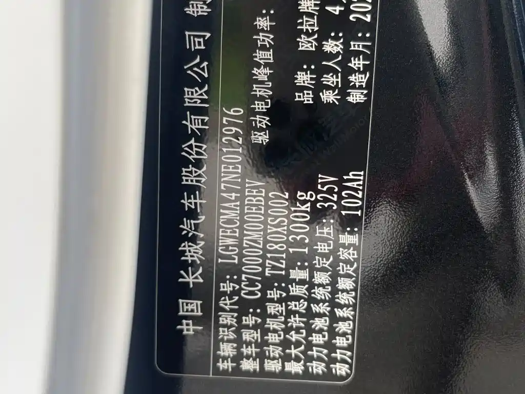 Ora Black Cat 2022 2022 351km Comfort (NMC)
