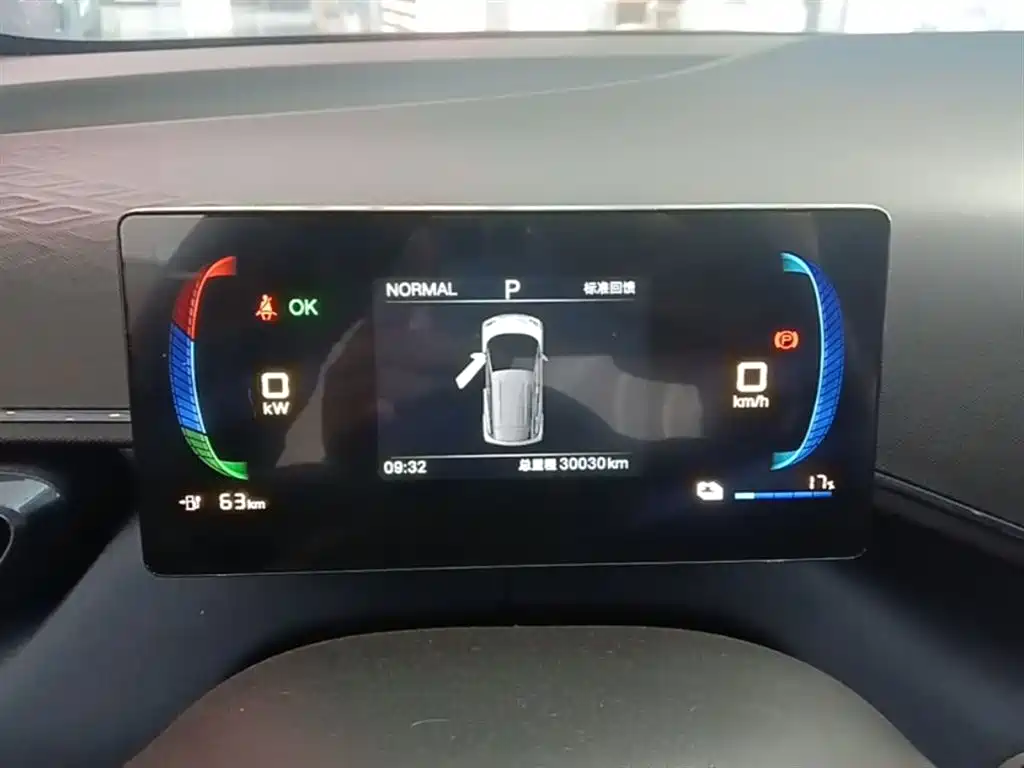 BYD Seagull 2025 305km Vitality фото 12
