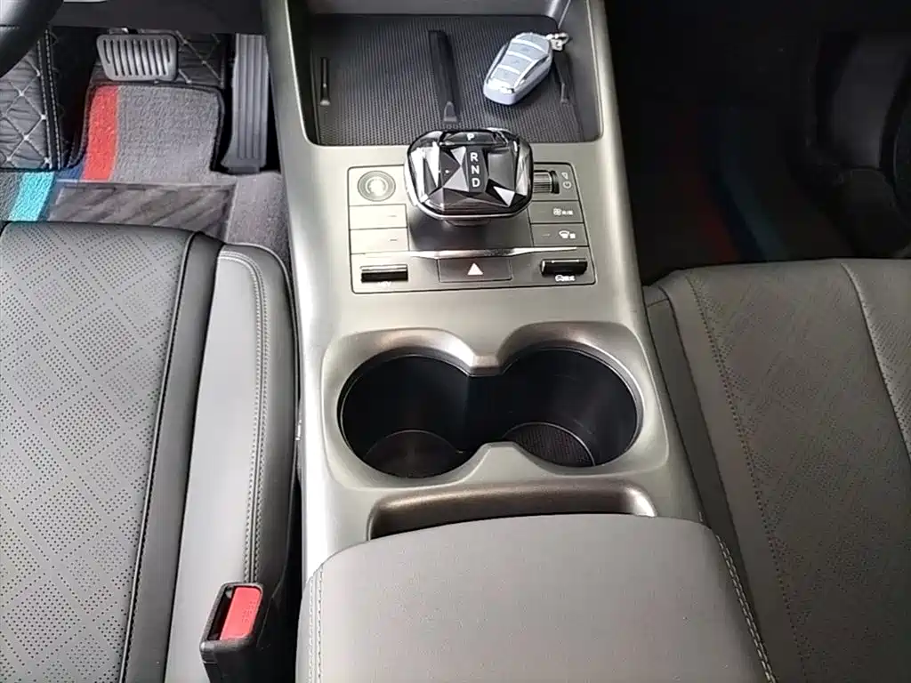 BYD Qin PLUS 2025 DM-i Smart Drive 55KM Leader фото 14