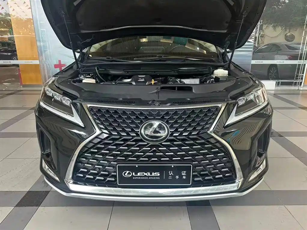 Lexus RX 2020 300 AWD Elegance Edition China V фото 3