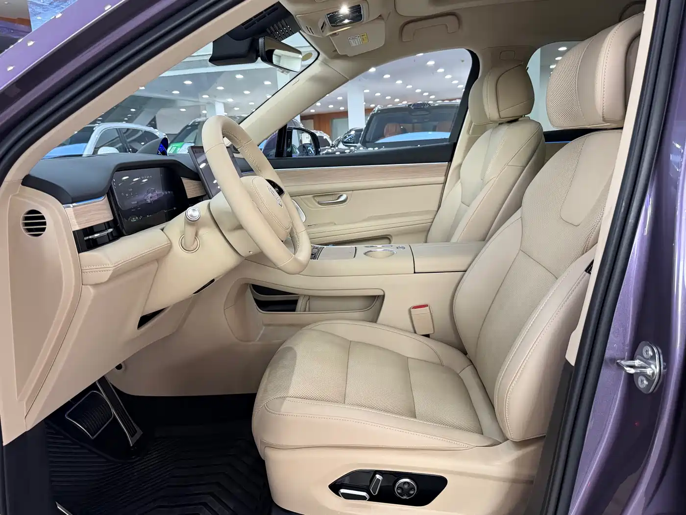 AITO Wenjie AITO M5 2025 Extended Range Ultra AWD фото 8
