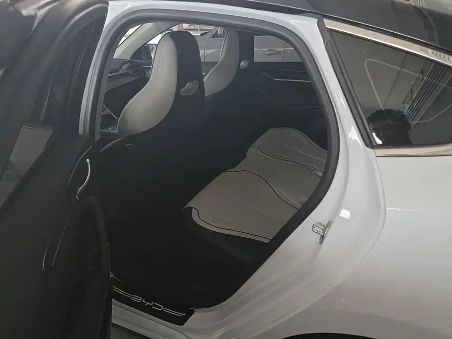 BYD Destroyer 05 2025 2024 Glory Edition DM-i 55KM Luxury