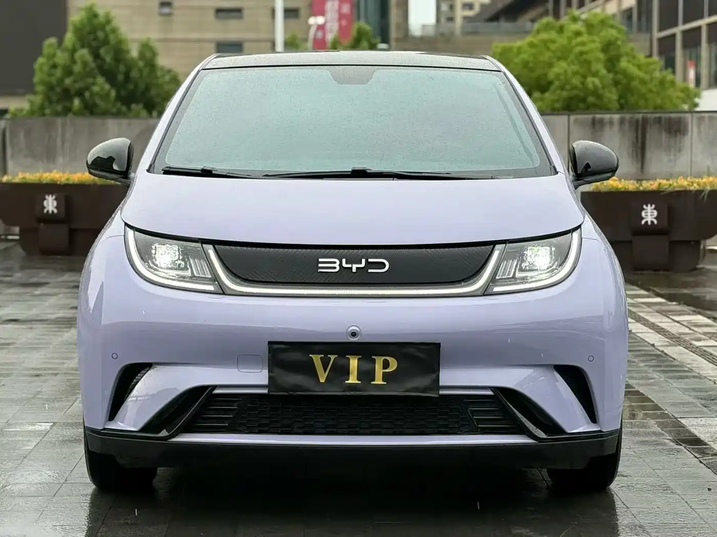 BYD Dolphin 2024 Glory Edition 420km Fashion Edition фото 2