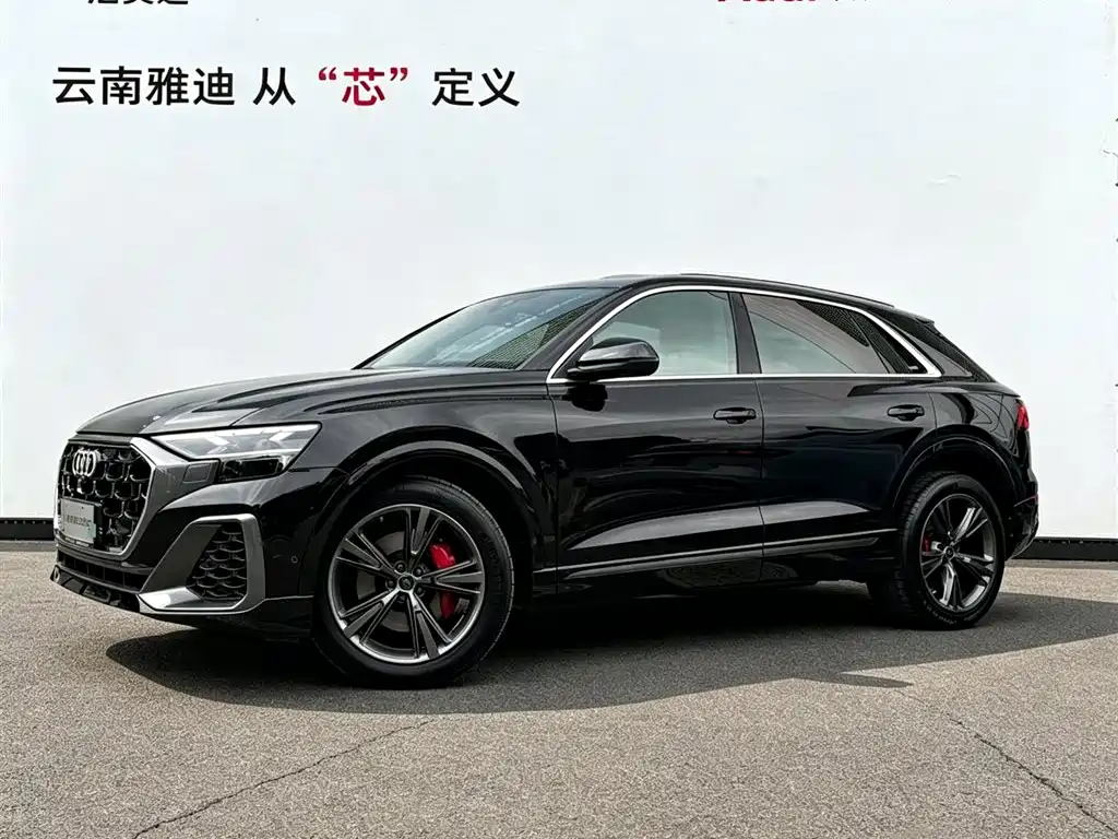 Audi Q8 2025 2024 55 TFSI Luxury Sport