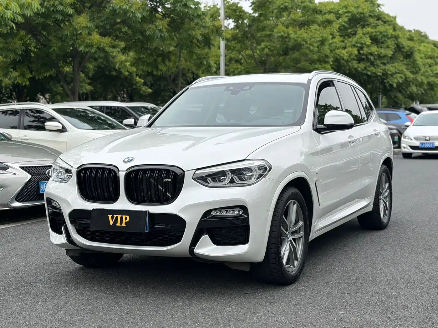 BMW X3 2018 xDrive25i M Sport Package China V