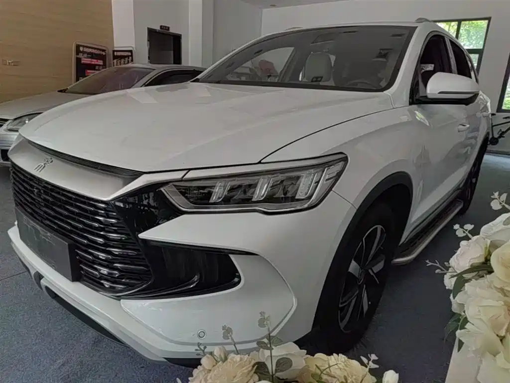 BYD Song Pro New Energy 2024 Glory Edition DM-i 71KM Pilot