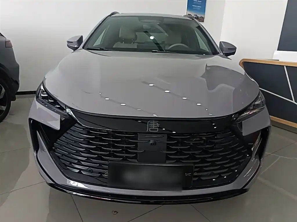 BYD Tang New Energy 2025 Smart Driving Edition DM-i 115KM Flagship фото 3