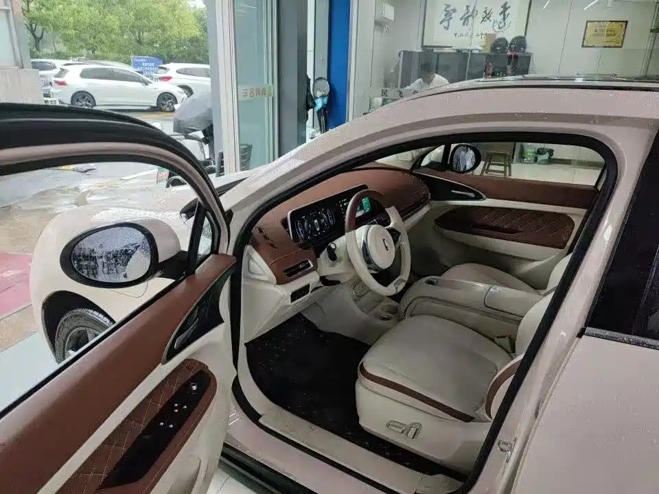 Ora Good Cat 2024 2024 401km Luxury
