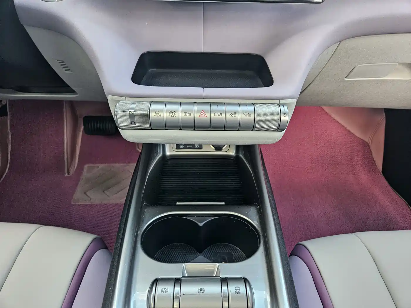 BYD Dolphin 2022 2021 401km Knight Edition
