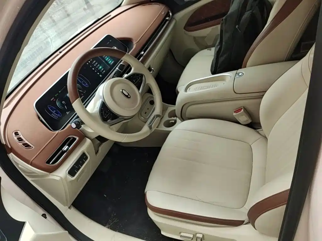 Ora Good Cat 2024 2023 401km Standard Range Luxury LFP