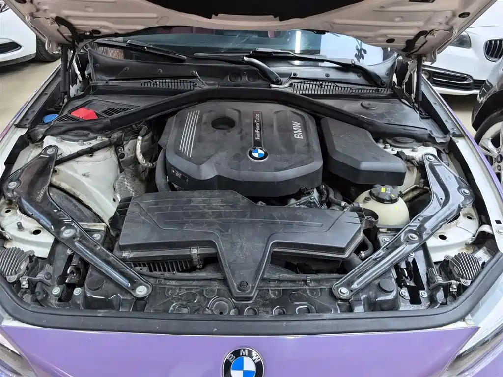 BMW 2 Series (Import) 2018 220i Convertible Coupe Sport Design Package фото 11