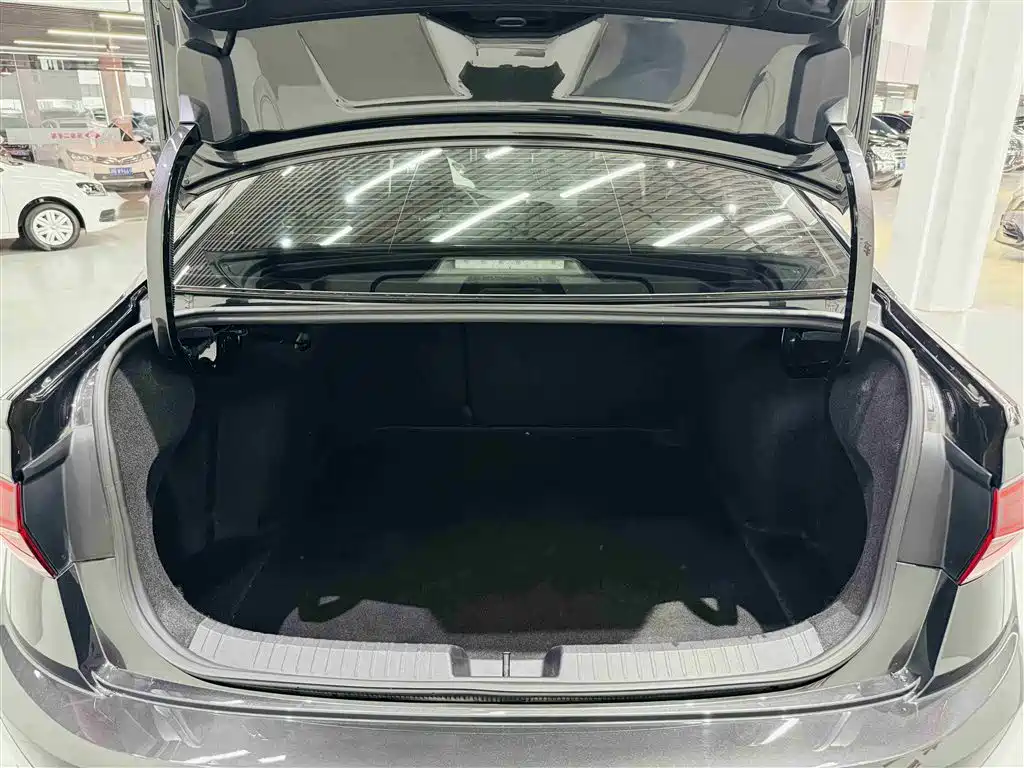 Volkswagen Sagitar 2021 280TSI DSG 30th Anniversary Edition фото 21