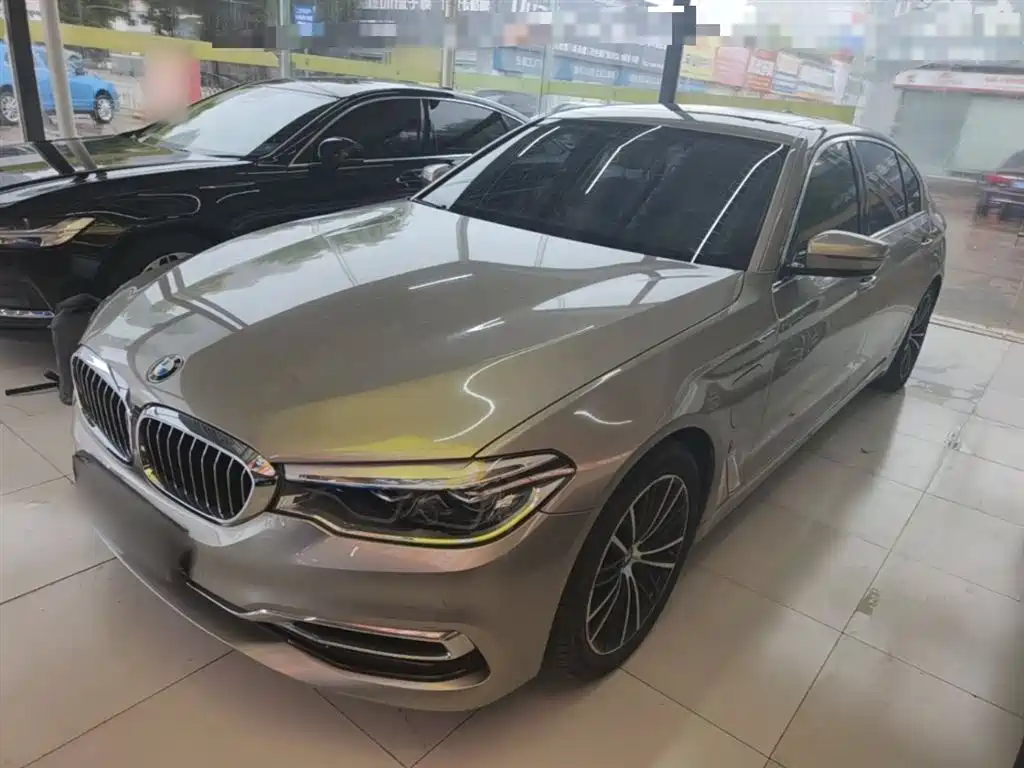BMW 5 Series New Energy 2019 530Le Luxury Package