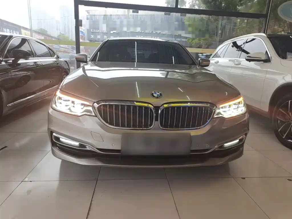 BMW 5 Series New Energy 2019 530Le Luxury Package фото 3