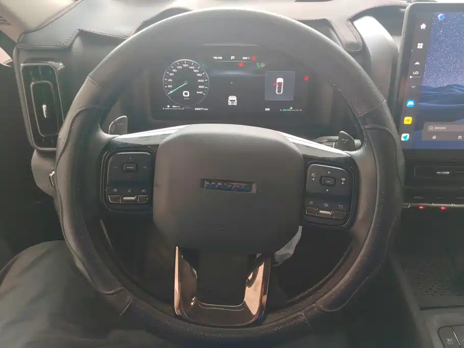 Haval H9 2025 2024 2.0T Gasoline AWD Extreme Edition