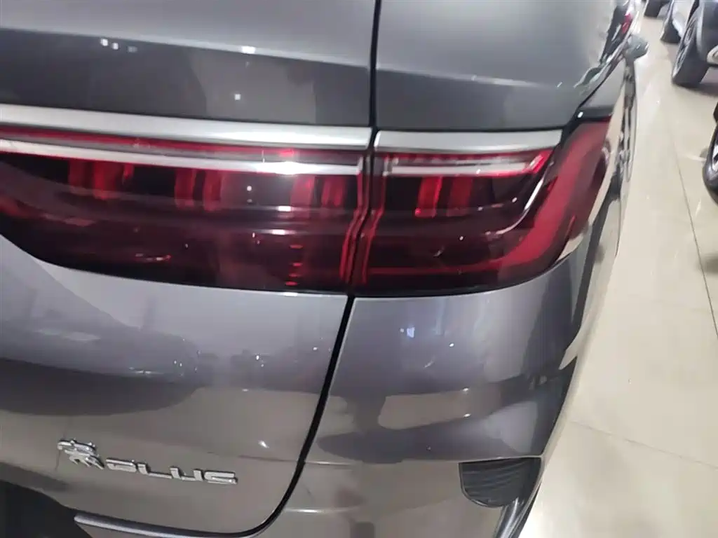 BYD Song PLUS PHEV 2021 DM-i 110KM Flagship PLUS фото 8