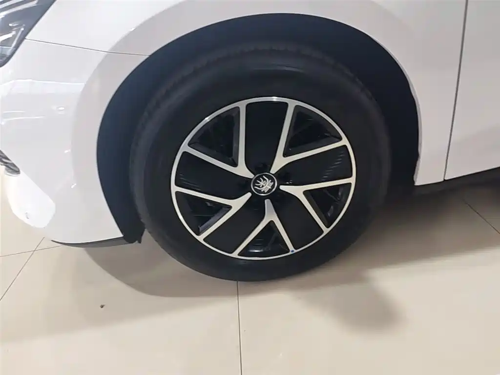 BYD Qin L 2024 DM-i 120KM Leading фото 23