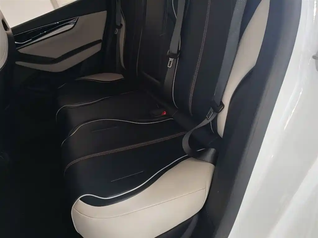 BYD Qin PLUS 2021 DM-i 55KM Flagship фото 17