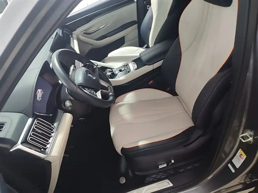 BYD Song PLUS PHEV 2021 DM-i 110KM Flagship PLUS фото 15