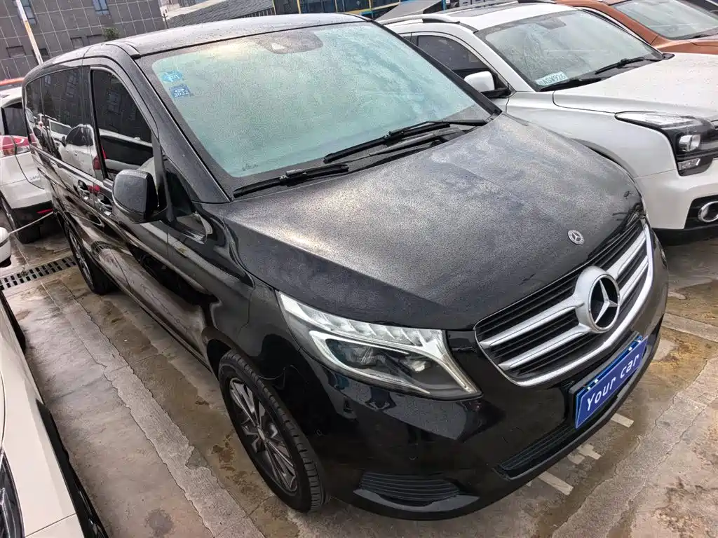 Mercedes-Benz V-Class 2018 V 260 Pilot Edition China V фото 3