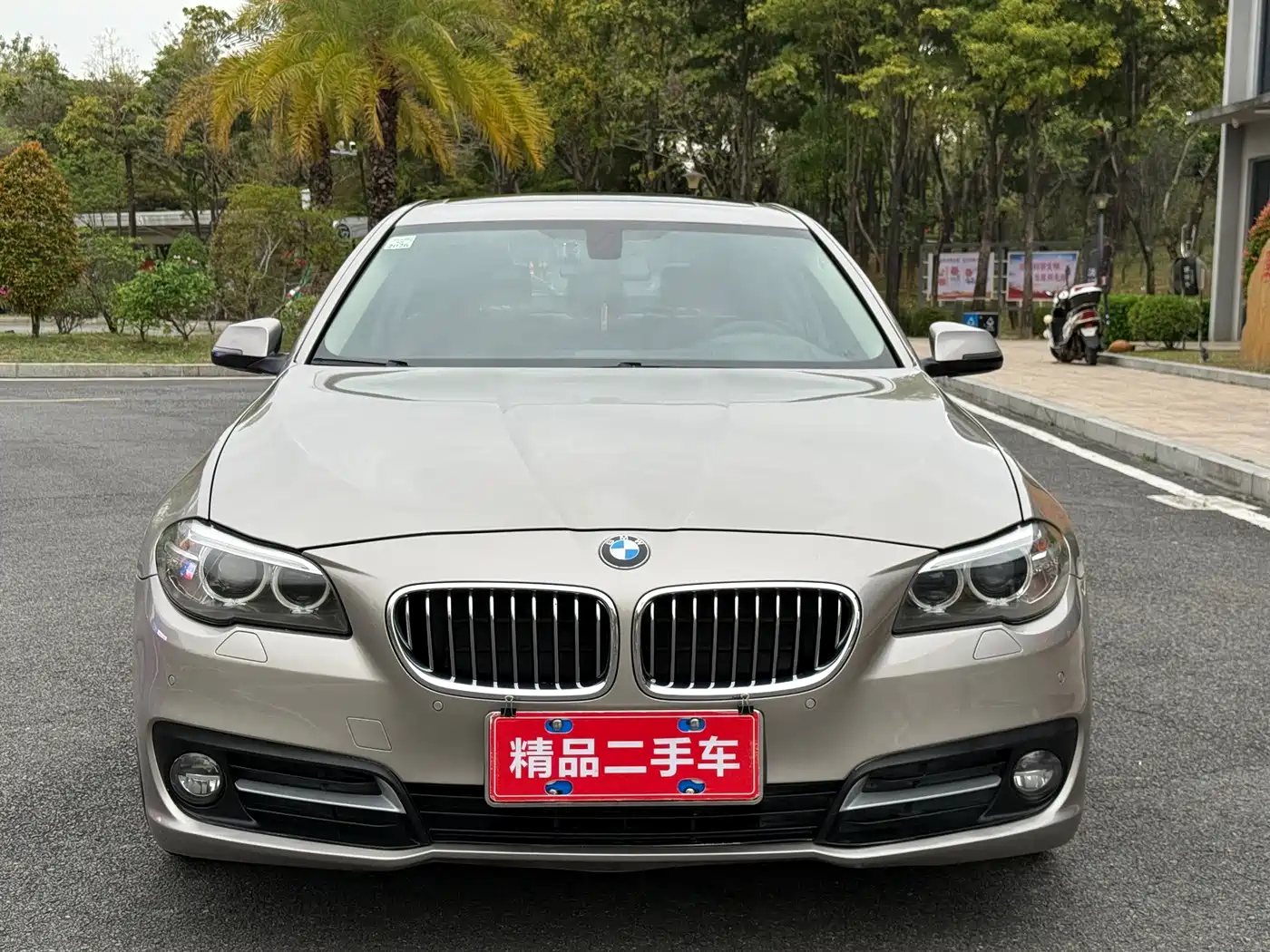 BMW 5 Series 2014 525Li Leading фото 2