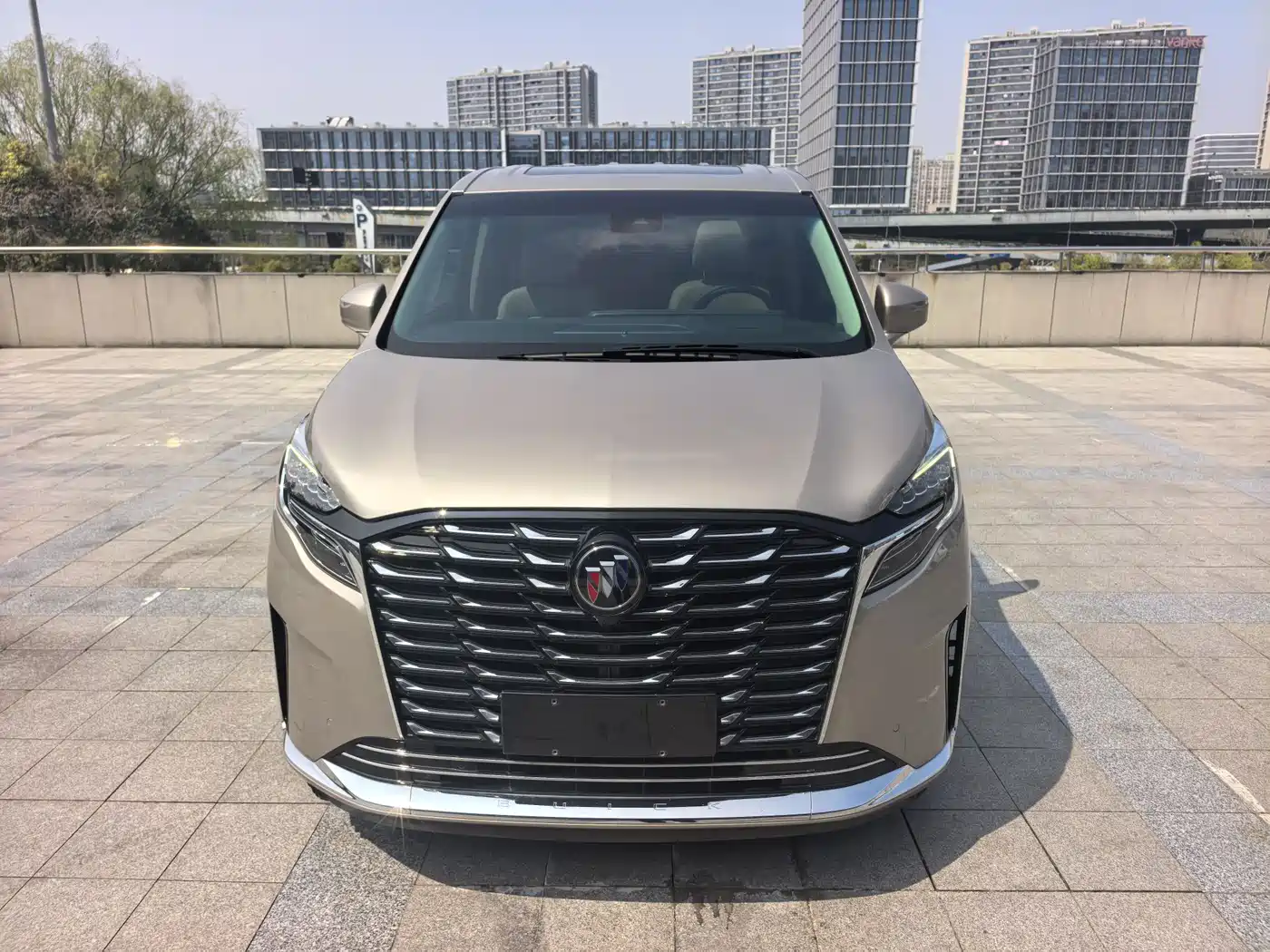 Buick GL8 2023 ES Landmaster Exclusive фото 2