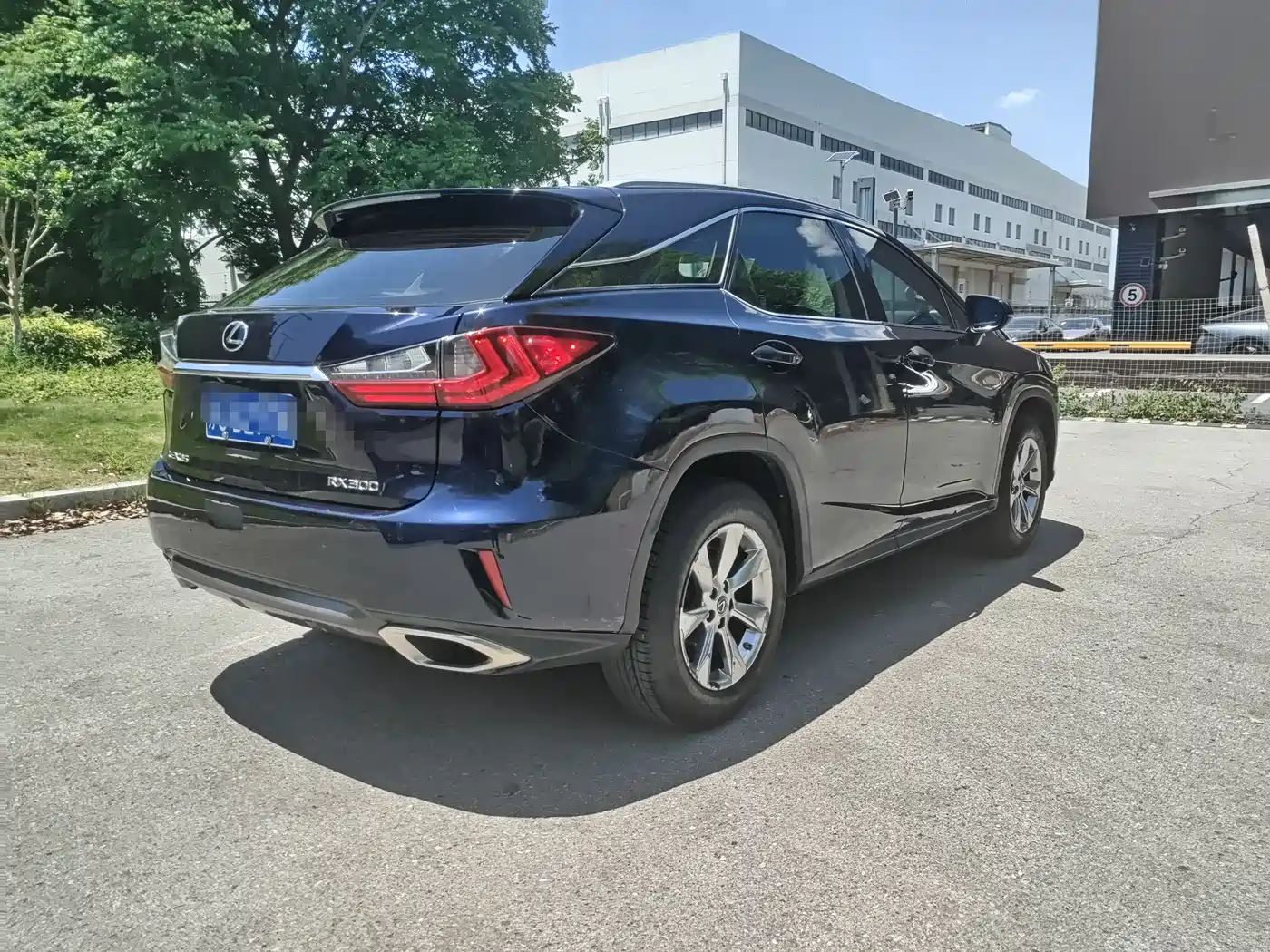 Lexus RX 2016 300 2WD Elite Edition (China V) фото 3
