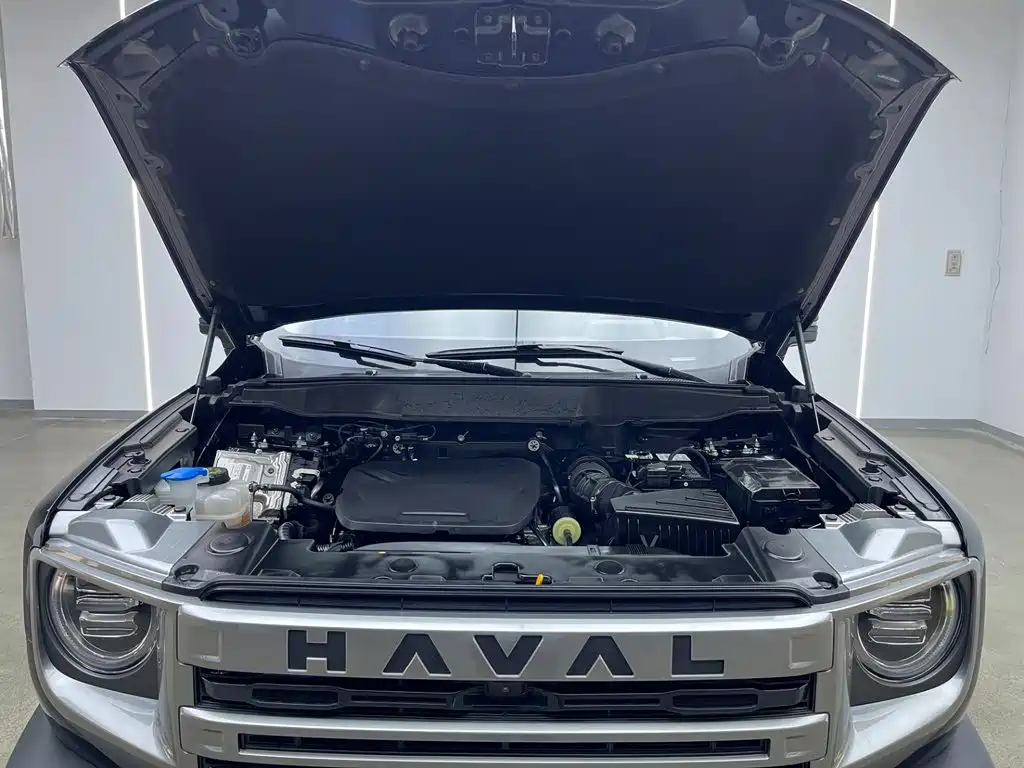 Фото 31 - Haval Dargo