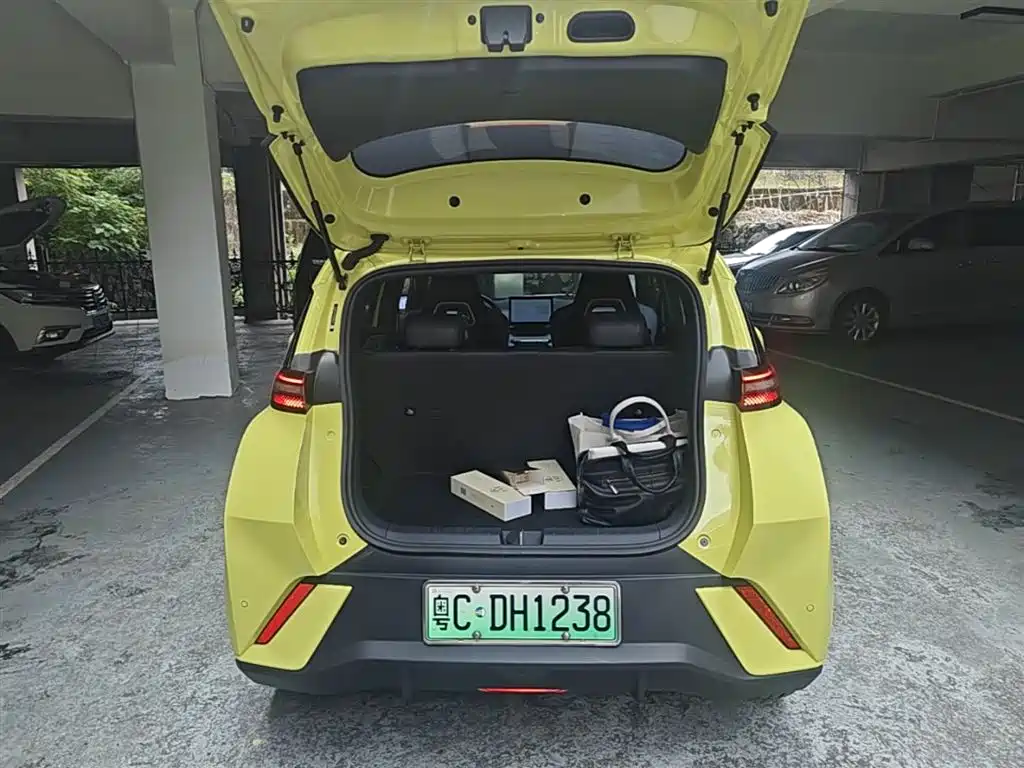 BYD Seagull 2023 Flying Edition фото 19
