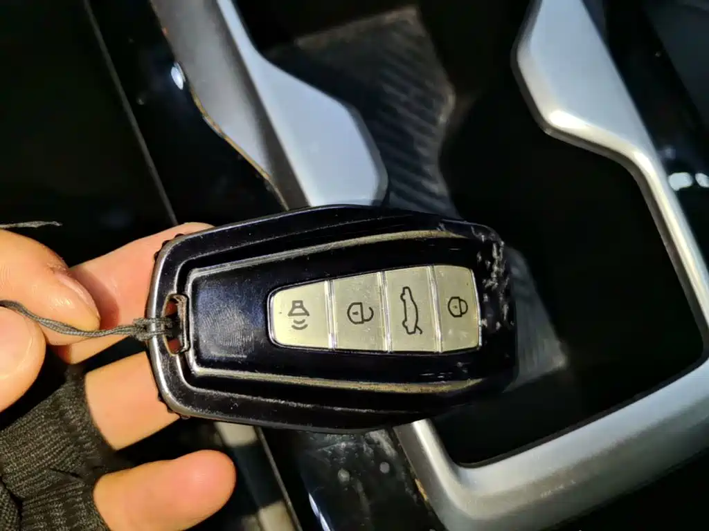 Geely Geometry E Firefly 2024 2024 401km Starlight