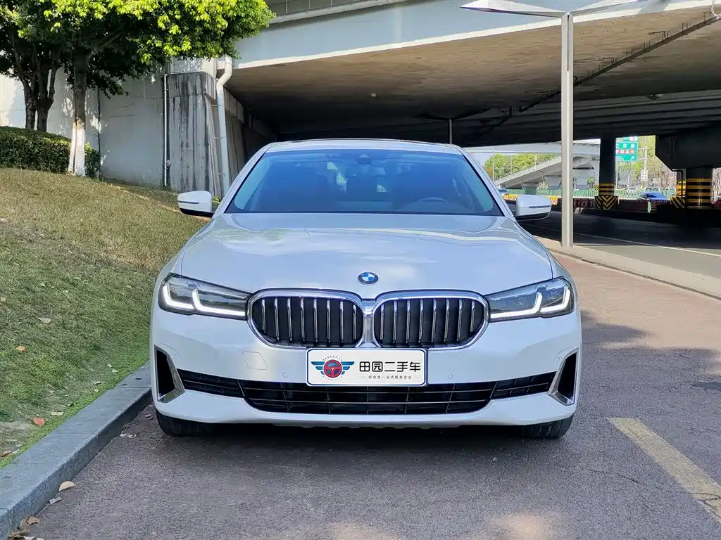BMW 5 Series 2021 530Li Leading Luxury Package фото 2