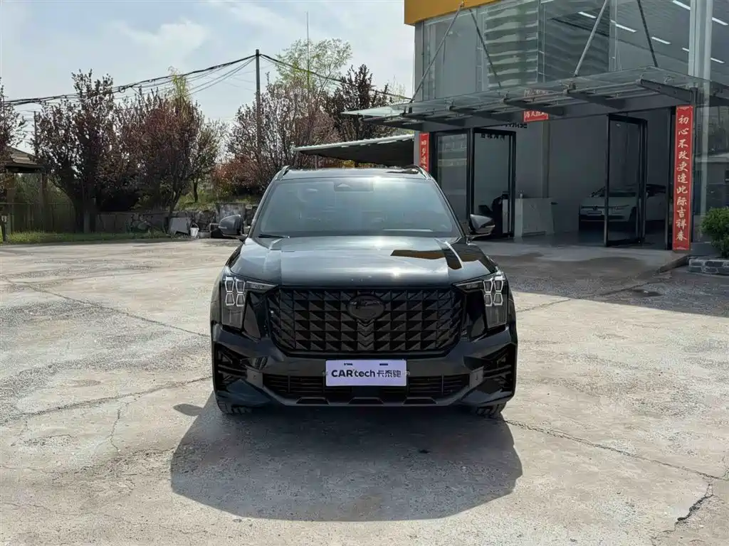 GAC Trumpchi Trumpchi GS8 2025 Pilot Series 2.0TGDI 2WD Luxury Edition 5-seater фото 2