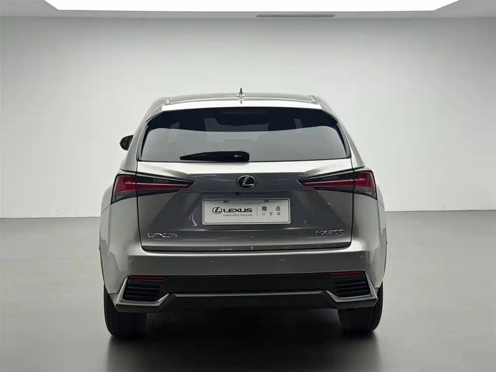 Lexus NX 2018 Model 200 FWD Fengxing Edition China V фото 17